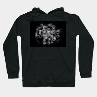 Backyard Flowers 29 Color Version Hoodie